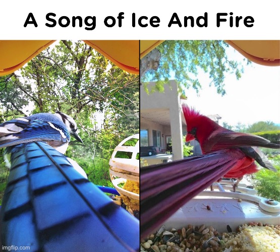 image tagged in memes | made w/ Imgflip meme maker