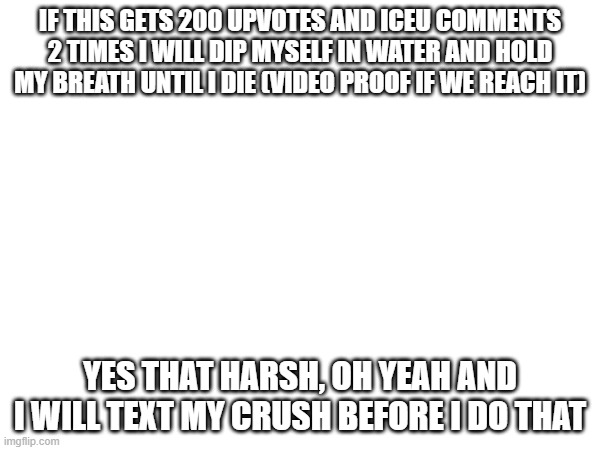 yes | IF THIS GETS 200 UPVOTES AND ICEU COMMENTS 2 TIMES I WILL DIP MYSELF IN WATER AND HOLD MY BREATH UNTIL I DIE (VIDEO PROOF IF WE REACH IT); YES THAT HARSH, OH YEAH AND I WILL TEXT MY CRUSH BEFORE I DO THAT | image tagged in memes | made w/ Imgflip meme maker