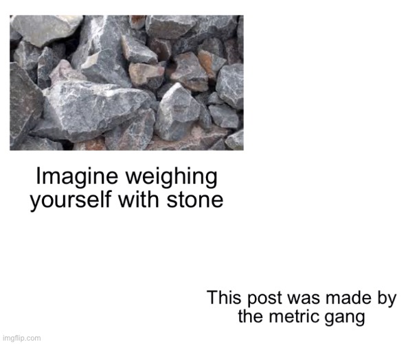 image tagged in memes | made w/ Imgflip meme maker
