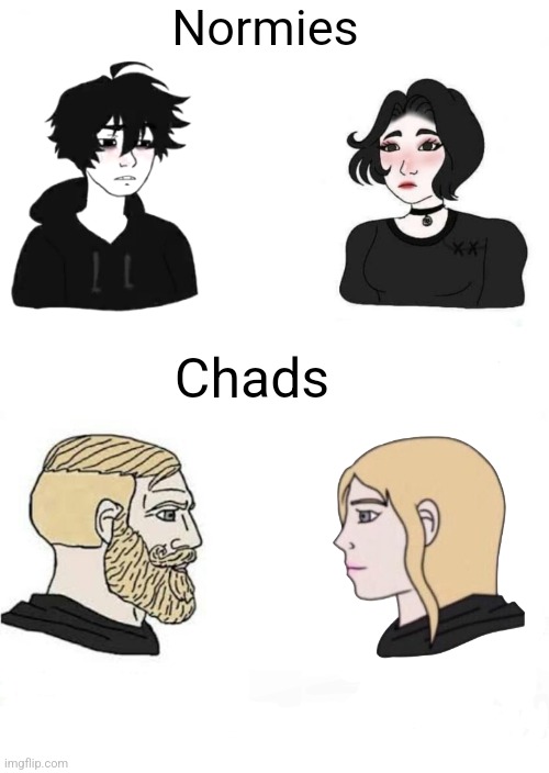I made a template that replaces those pointlessly gendered boy vs girls memes | Normies; Chads | image tagged in memes,chad,vs,normie,new template | made w/ Imgflip meme maker