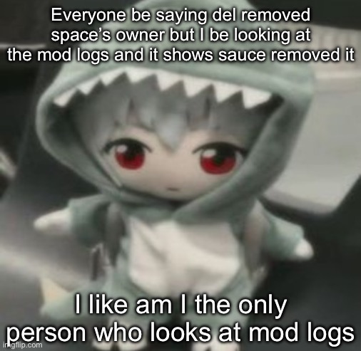 rei | Everyone be saying del removed space’s owner but I be looking at the mod logs and it shows sauce removed it; I like am I the only person who looks at mod logs | image tagged in rei | made w/ Imgflip meme maker