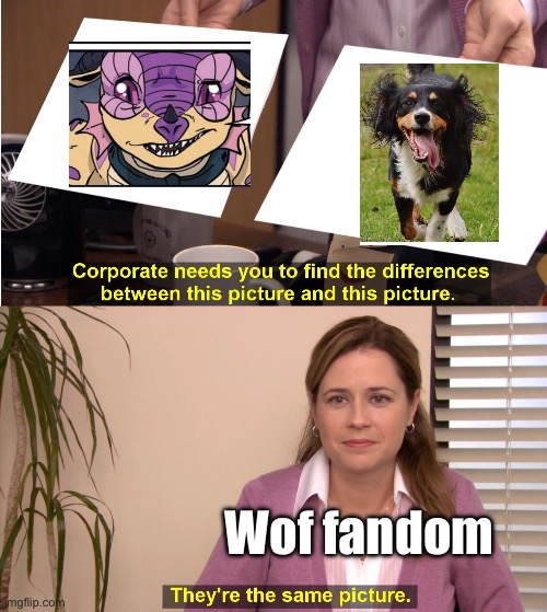 They're The Same Picture Meme | Wof fandom | image tagged in memes,they're the same picture | made w/ Imgflip meme maker