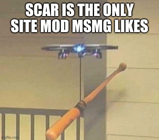 Andrew fingerson and oh pp just abuse their perms | SCAR IS THE ONLY SITE MOD MSMG LIKES | image tagged in attack drone | made w/ Imgflip meme maker