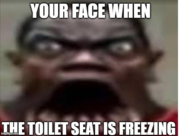 iuydzdfhouyrsdg | YOUR FACE WHEN; THE TOILET SEAT IS FREEZING | image tagged in toilet humor,cold,freezing cold | made w/ Imgflip meme maker