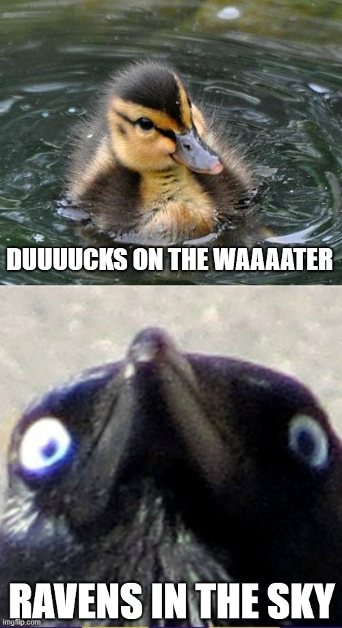 #Hunt: Showdown | DUUUUCKS ON THE WAAAATER; RAVENS IN THE SKY | image tagged in almost advice mallard,insanity crow | made w/ Imgflip meme maker