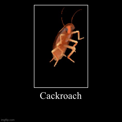 Cockroach | image tagged in funny,demotivationals | made w/ Imgflip demotivational maker