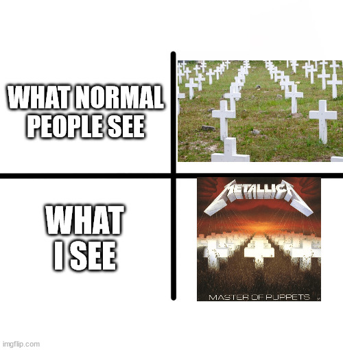 Metallica!  \m/ | WHAT NORMAL PEOPLE SEE; WHAT I SEE | image tagged in memes,blank starter pack | made w/ Imgflip meme maker