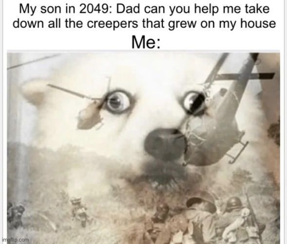 image tagged in minecraft,memes,funny | made w/ Imgflip meme maker