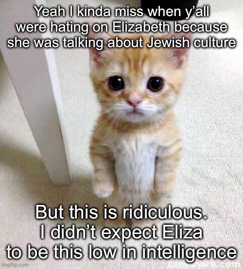 @eliza Hey go back to Jewism even though I hate it when you talk about that | Yeah I kinda miss when y’all were hating on Elizabeth because she was talking about Jewish culture; But this is ridiculous. I didn’t expect Eliza to be this low in intelligence | image tagged in memes,cute cat | made w/ Imgflip meme maker