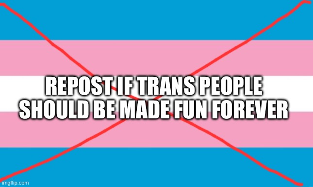 REPOST because of Elizabeth | REPOST IF TRANS PEOPLE SHOULD BE MADE FUN FOREVER | image tagged in transgender flag | made w/ Imgflip meme maker