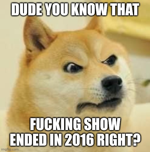 angry doge | DUDE YOU KNOW THAT FUCKING SHOW ENDED IN 2016 RIGHT? | image tagged in angry doge | made w/ Imgflip meme maker