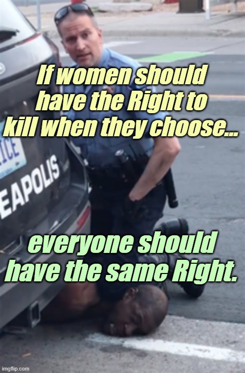Support Equal Rights ! | If women should have the Right to kill when they choose... everyone should have the same Right. | image tagged in liberals,democrats,lgbtq,blm,antifa,criminals | made w/ Imgflip meme maker