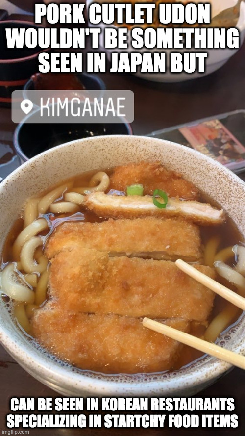 Pork Cutlet Udon | PORK CUTLET UDON WOULDN'T BE SOMETHING SEEN IN JAPAN BUT; CAN BE SEEN IN KOREAN RESTAURANTS SPECIALIZING IN STARTCHY FOOD ITEMS | image tagged in noodles,food,memes | made w/ Imgflip meme maker