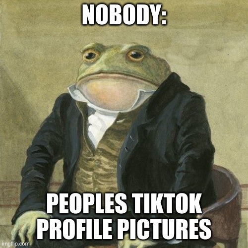 Gentlemen, it is with great pleasure to inform you that | NOBODY:; PEOPLES TIKTOK PROFILE PICTURES | image tagged in gentlemen it is with great pleasure to inform you that | made w/ Imgflip meme maker