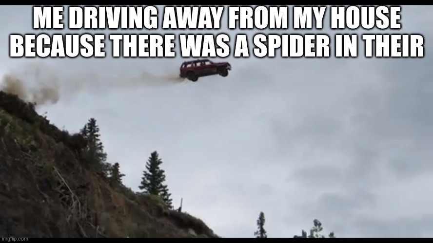 flying car | ME DRIVING AWAY FROM MY HOUSE BECAUSE THERE WAS A SPIDER IN THEIR | image tagged in flying car | made w/ Imgflip meme maker