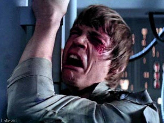 Luke Skywalker Noooo | image tagged in luke skywalker noooo | made w/ Imgflip meme maker