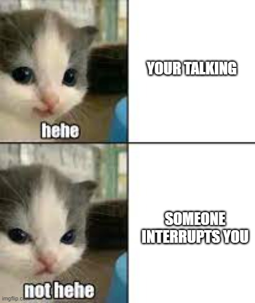 new template :PP | YOUR TALKING; SOMEONE INTERRUPTS YOU | image tagged in hehe not hehe | made w/ Imgflip meme maker