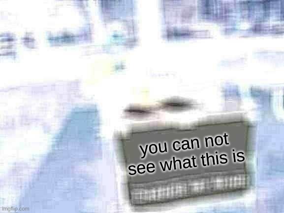 100% you can not see what is in thes image | you can not see what this is | image tagged in memes,change my mind | made w/ Imgflip meme maker