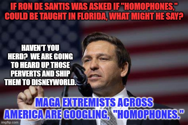It is not a pink communication device you use to call Ru Paul. | IF RON DE SANTIS WAS ASKED IF "HOMOPHONES," COULD BE TAUGHT IN FLORIDA, WHAT MIGHT HE SAY? HAVEN'T YOU HERD?  WE ARE GOING TO HEARD UP THOSE PERVERTS AND SHIP THEM TO DISNEYWORLD. MAGA EXTREMISTS ACROSS AMERICA ARE GOOGLING,  "HOMOPHONES." | image tagged in politics | made w/ Imgflip meme maker