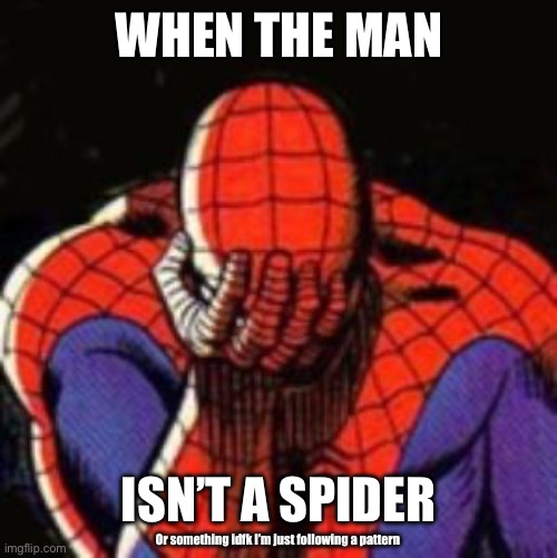 No context 2 | WHEN THE MAN; ISN’T A SPIDER; Or something idfk I’m just following a pattern | image tagged in memes,sad spiderman,spiderman | made w/ Imgflip meme maker