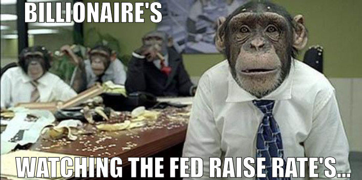 MORE JOB CUTS ARE ON THE WAY | BILLIONAIRE'S; WATCHING THE FED RAISE RATE'S... | image tagged in office monkeys,meme | made w/ Imgflip meme maker