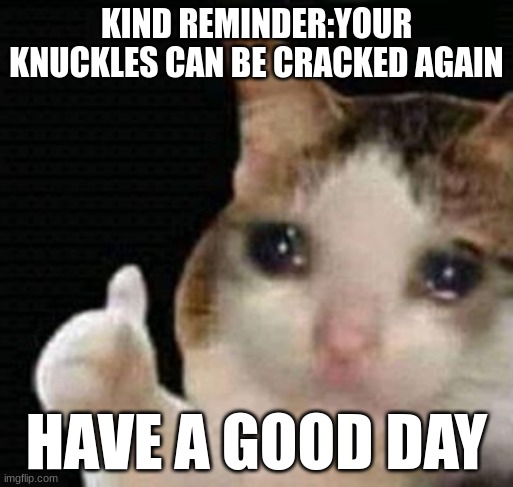 sad thumbs up cat | KIND REMINDER:YOUR KNUCKLES CAN BE CRACKED AGAIN; HAVE A GOOD DAY | image tagged in sad thumbs up cat | made w/ Imgflip meme maker