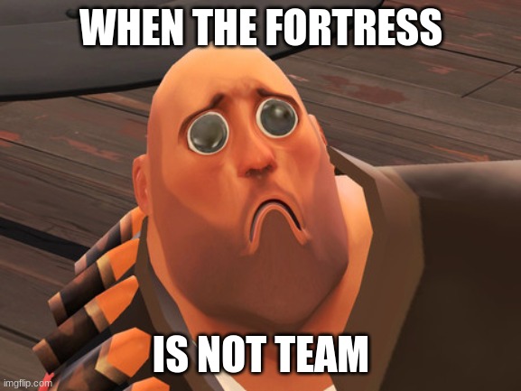 sad | WHEN THE FORTRESS; IS NOT TEAM | image tagged in sad | made w/ Imgflip meme maker
