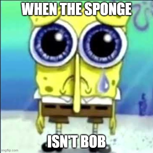 Sad Spongebob | WHEN THE SPONGE; ISN'T BOB | image tagged in sad spongebob | made w/ Imgflip meme maker