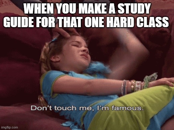 Don't Touch me I'm famous | WHEN YOU MAKE A STUDY GUIDE FOR THAT ONE HARD CLASS | image tagged in don't touch me i'm famous,school memes,new memes,funny memes | made w/ Imgflip meme maker