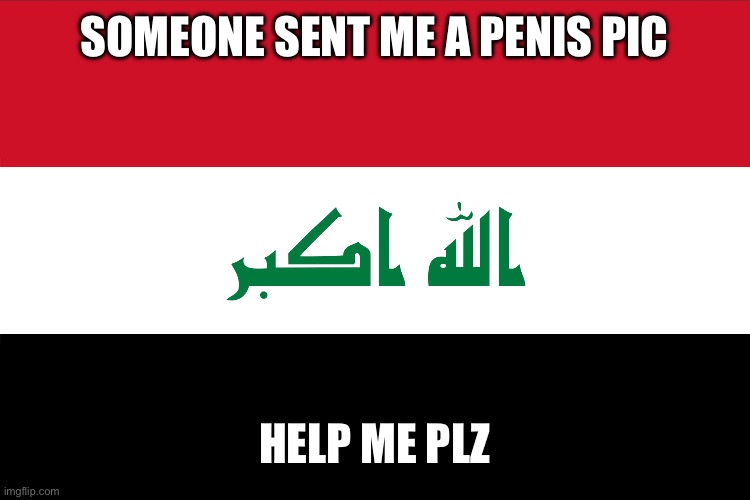 WHYYYYYYY | SOMEONE SENT ME A PENIS PIC; HELP ME PLZ | image tagged in flag of iraq | made w/ Imgflip meme maker