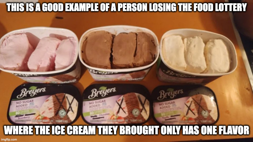 Losing the Ice Cream Food Lottery | THIS IS A GOOD EXAMPLE OF A PERSON LOSING THE FOOD LOTTERY; WHERE THE ICE CREAM THEY BROUGHT ONLY HAS ONE FLAVOR | image tagged in food,ice cream,memes | made w/ Imgflip meme maker
