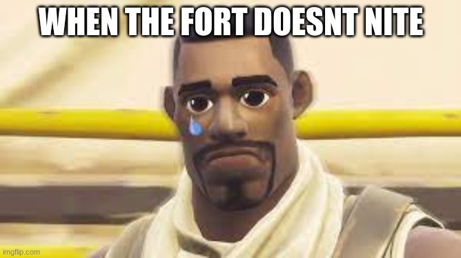 i decided to try this | WHEN THE FORT DOESNT NITE | made w/ Imgflip meme maker