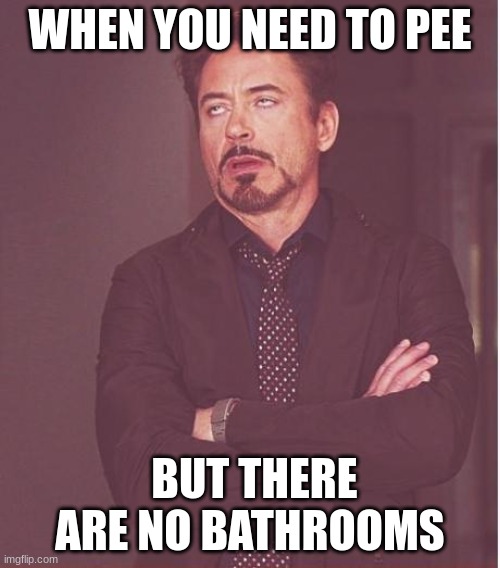 Face You Make Robert Downey Jr | WHEN YOU NEED TO PEE; BUT THERE ARE NO BATHROOMS | image tagged in memes,face you make robert downey jr | made w/ Imgflip meme maker