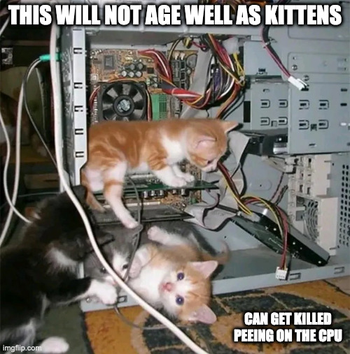 Kittens Playing in CPU | THIS WILL NOT AGE WELL AS KITTENS; CAN GET KILLED PEEING ON THE CPU | image tagged in cats,computer,memes | made w/ Imgflip meme maker