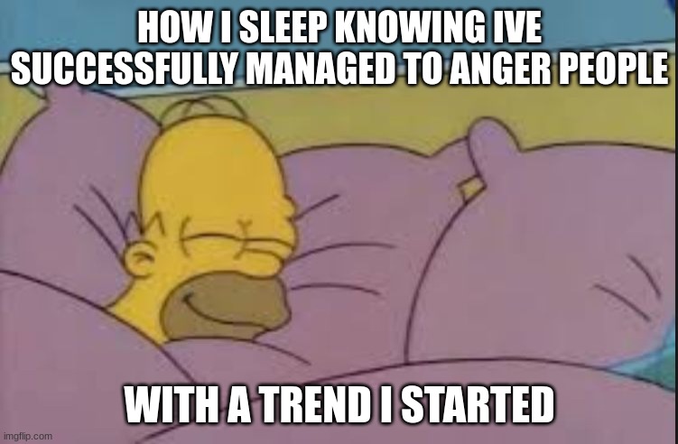 how i sleep homer simpson | HOW I SLEEP KNOWING IVE SUCCESSFULLY MANAGED TO ANGER PEOPLE; WITH A TREND I STARTED | image tagged in how i sleep homer simpson | made w/ Imgflip meme maker