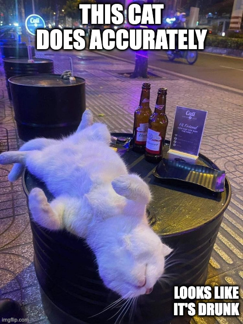 Cat on a Outside Bar Table | THIS CAT DOES ACCURATELY; LOOKS LIKE IT'S DRUNK | image tagged in cats,memes | made w/ Imgflip meme maker