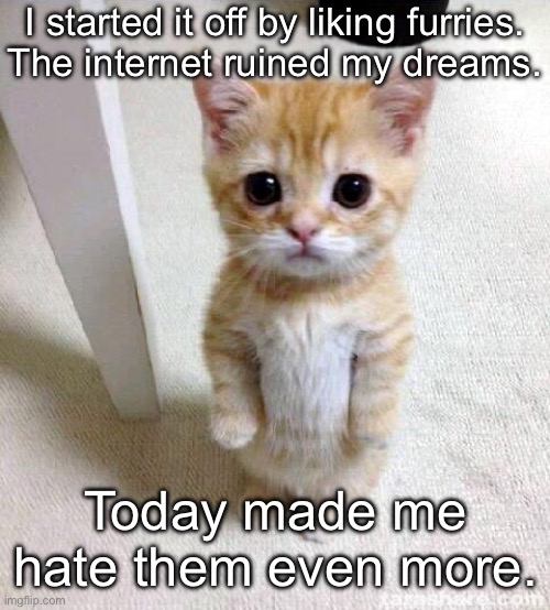 I will never forgive 96.3% of the f*rry community | I started it off by liking furries.
The internet ruined my dreams. Today made me hate them even more. | image tagged in memes,cute cat | made w/ Imgflip meme maker