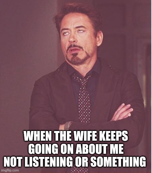 Face You Make Robert Downey Jr | WHEN THE WIFE KEEPS GOING ON ABOUT ME NOT LISTENING OR SOMETHING | image tagged in memes,face you make robert downey jr | made w/ Imgflip meme maker