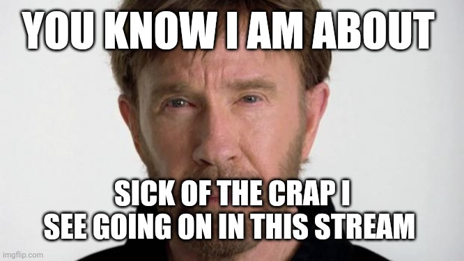 Chuck Norris | YOU KNOW I AM ABOUT; SICK OF THE CRAP I SEE GOING ON IN THIS STREAM | image tagged in chuck norris | made w/ Imgflip meme maker