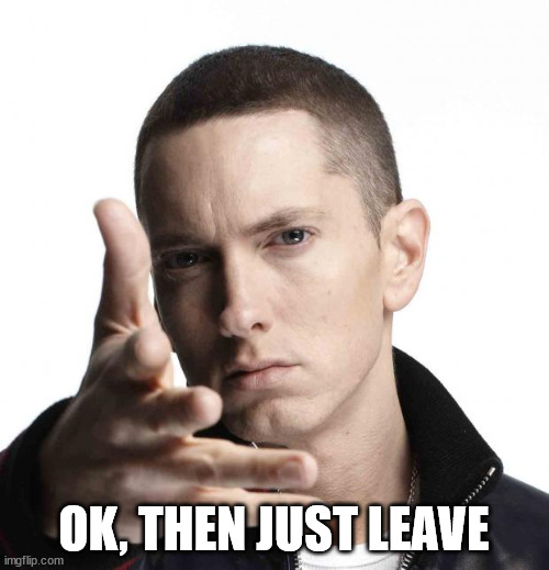 Eminem video game logic | OK, THEN JUST LEAVE | image tagged in eminem video game logic | made w/ Imgflip meme maker