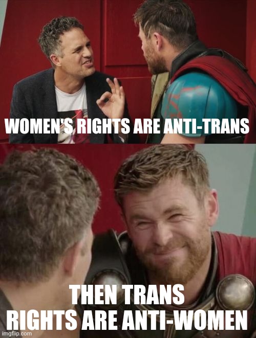 Seems that way to me. | WOMEN'S RIGHTS ARE ANTI-TRANS; THEN TRANS RIGHTS ARE ANTI-WOMEN | image tagged in memes | made w/ Imgflip meme maker