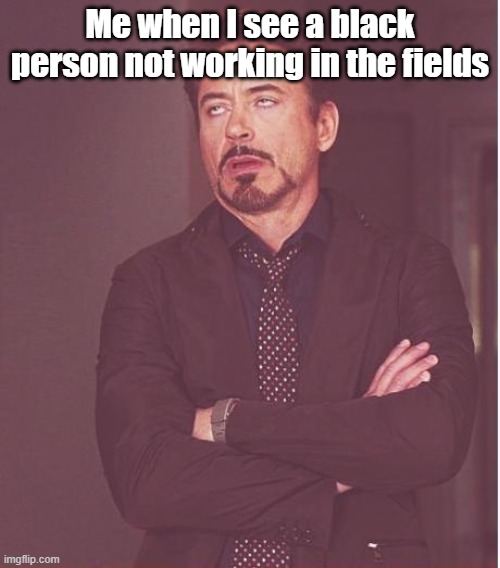 Face You Make Robert Downey Jr Meme | Me when I see a black person not working in the fields | image tagged in memes,face you make robert downey jr | made w/ Imgflip meme maker