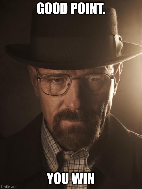 Walter White | GOOD POINT. YOU WIN | image tagged in walter white | made w/ Imgflip meme maker