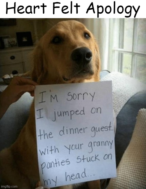 Arf, Arf | Heart Felt Apology | image tagged in fun,funny signs,lol,imgflip humor,innocence,dog | made w/ Imgflip meme maker