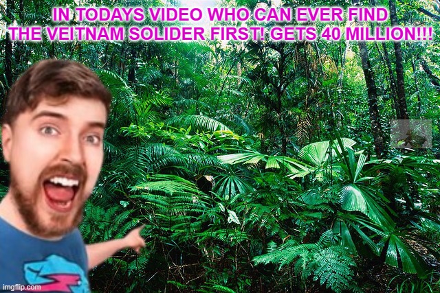 Mrbeast video in 1965: | IN TODAYS VIDEO WHO CAN EVER FIND THE VEITNAM SOLIDER FIRST! GETS 40 MILLION!!! | image tagged in tropical_ rainforest | made w/ Imgflip meme maker