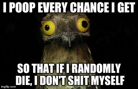 Weird Stuff I Do Potoo Meme | I POOP EVERY CHANCE I GET SO THAT IF I RANDOMLY DIE, I DON'T SHIT MYSELF | image tagged in memes,weird stuff i do potoo,AdviceAnimals | made w/ Imgflip meme maker