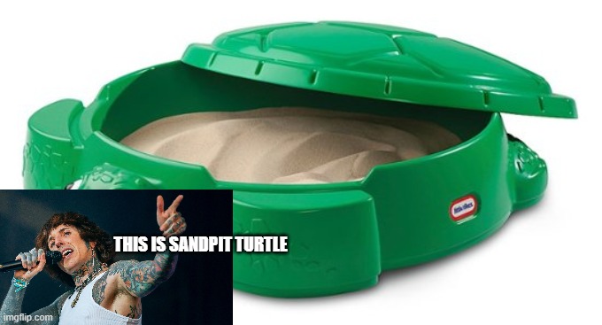 if you know, you know | THIS IS SANDPIT TURTLE | made w/ Imgflip meme maker