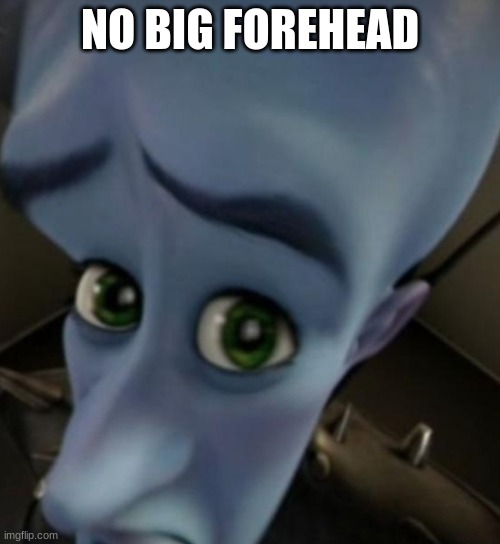 Megamind no bitches | NO BIG FOREHEAD | image tagged in megamind no bitches | made w/ Imgflip meme maker