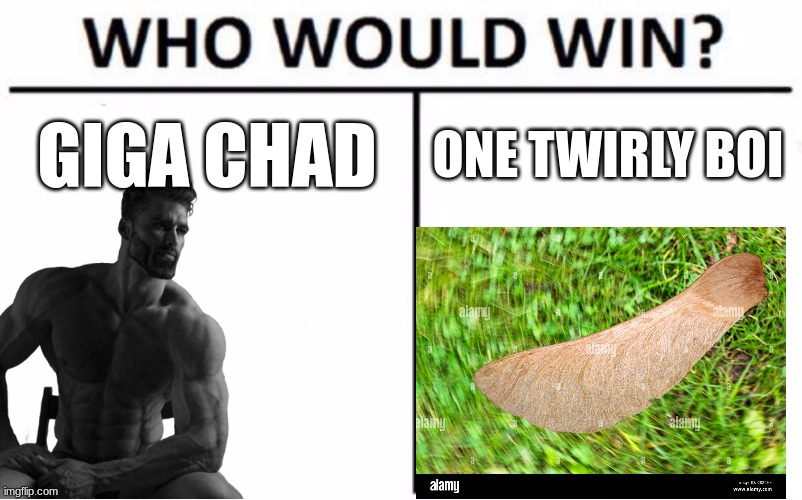 Who Would Win? | GIGA CHAD; ONE TWIRLY BOI | image tagged in memes,who would win | made w/ Imgflip meme maker