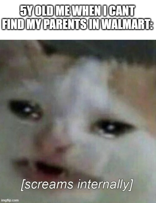 I'm still like this ngl :I | 5Y OLD ME WHEN I CANT FIND MY PARENTS IN WALMART: | image tagged in blank white template,crying cat screams internally | made w/ Imgflip meme maker